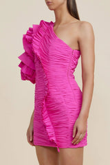 Ascot Mini Dress