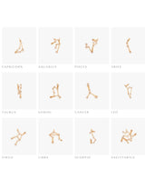 Aquarius Charm Bracelet