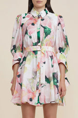 Merrylands Mini Dress