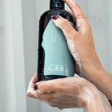 Refreshing Handwash Eucalyptus and Mint
