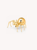 Spider Brooch