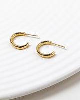 Luna Small Hoop Earrings Gold