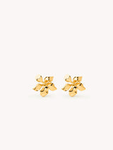 Baby Jasmine Studs